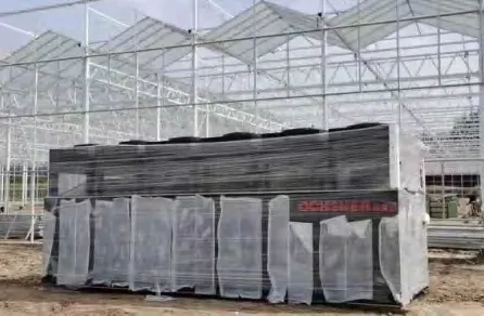 巴彦淖尔金伯利农场